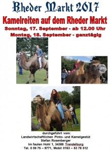 Rheder Markt 2017 - Kamelreiten für Jedermann Sonntag 17.09. u Montag 18.09